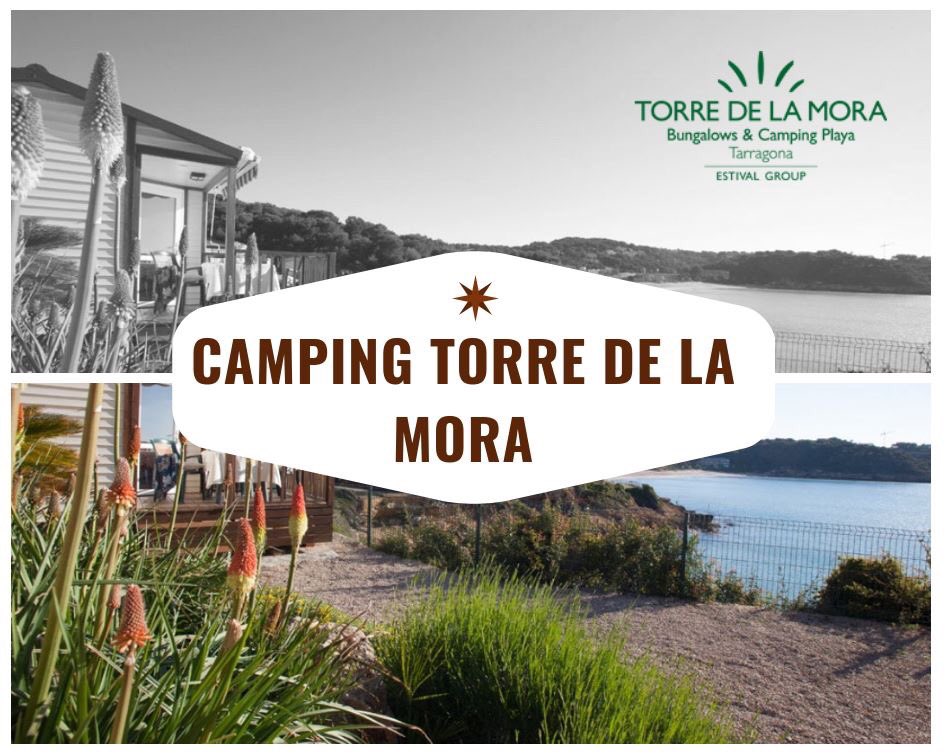 TorredelaMora's tweet photo. Rodéate de naturaleza.. Camping Torre de la Mora
https://t.co/n8TixOWGZd https://t.co/QC1MDqYXI1