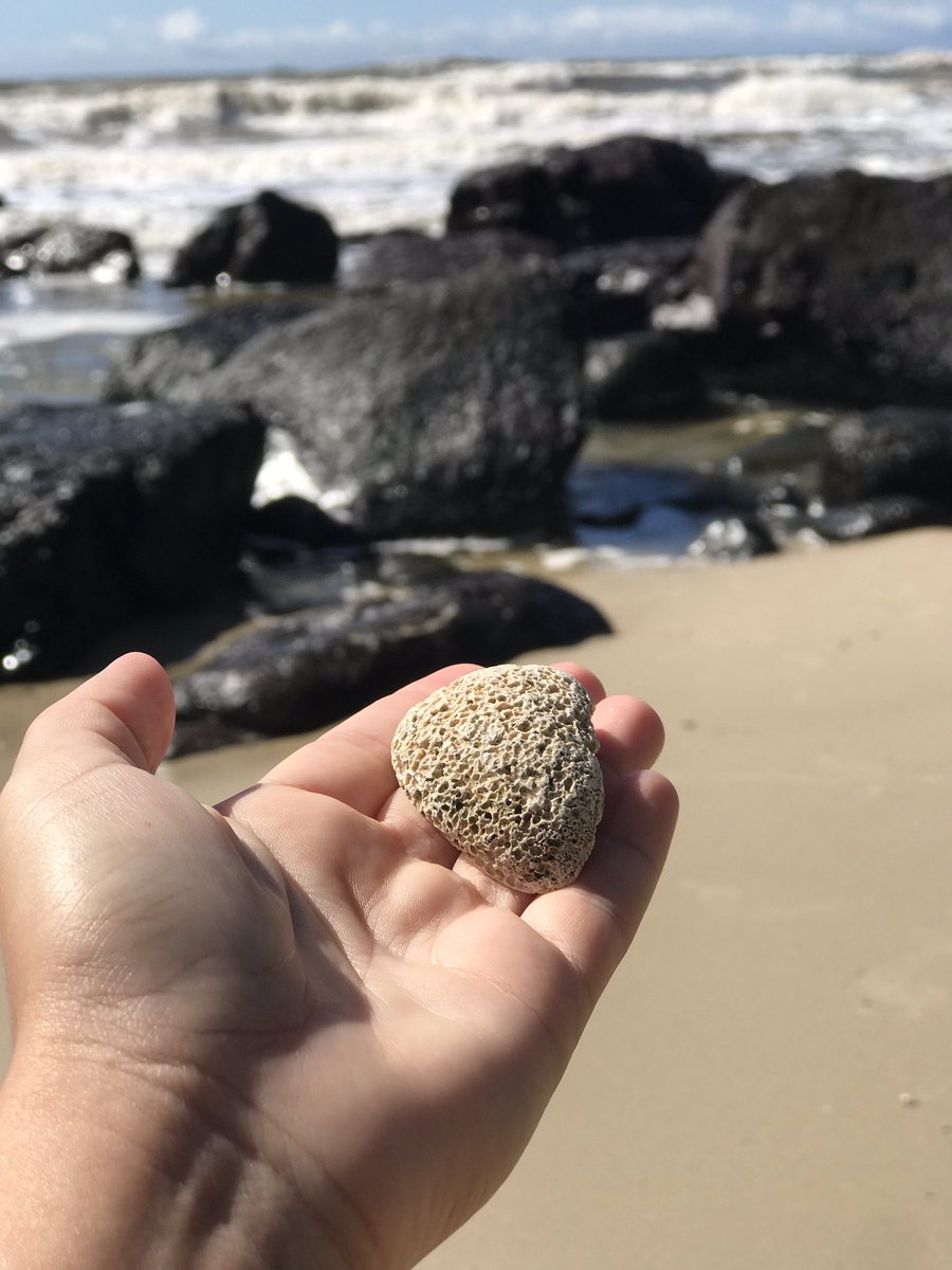 kmylaf's tweet photo. Torres é demais 🌊💖☀️
#torres #litoralgaucho #litoral #praiasdosul #beach #domingo #sol #mar #praia #euamotorres #torresedemais #vemprapraia https://t.co/dRC7DRpNDu