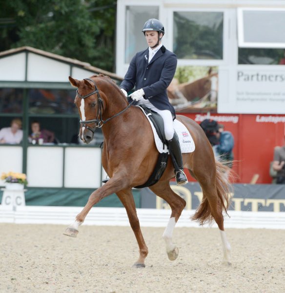 3 slots available on the Michael Eilberg clinic in Cheshire. 45 min slot, being held in chelford on Monday 17 December PM to book 🦄