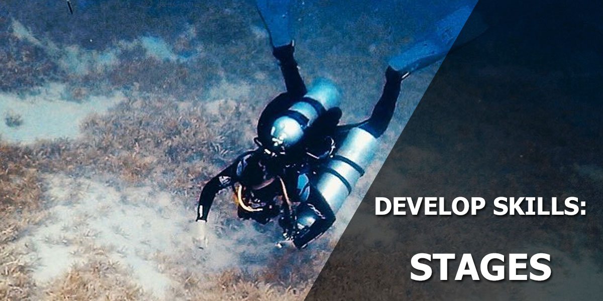 Scuba Leeds tweet media