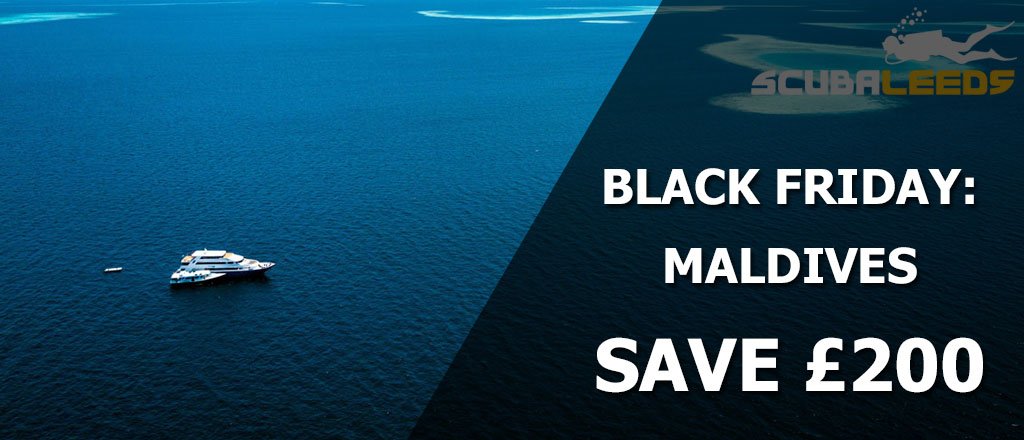 Scuba Leeds tweet media