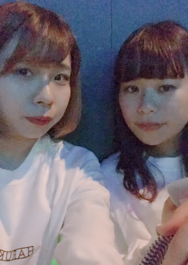 __nipasuta's tweet image. ハルカミライに乾杯🍻