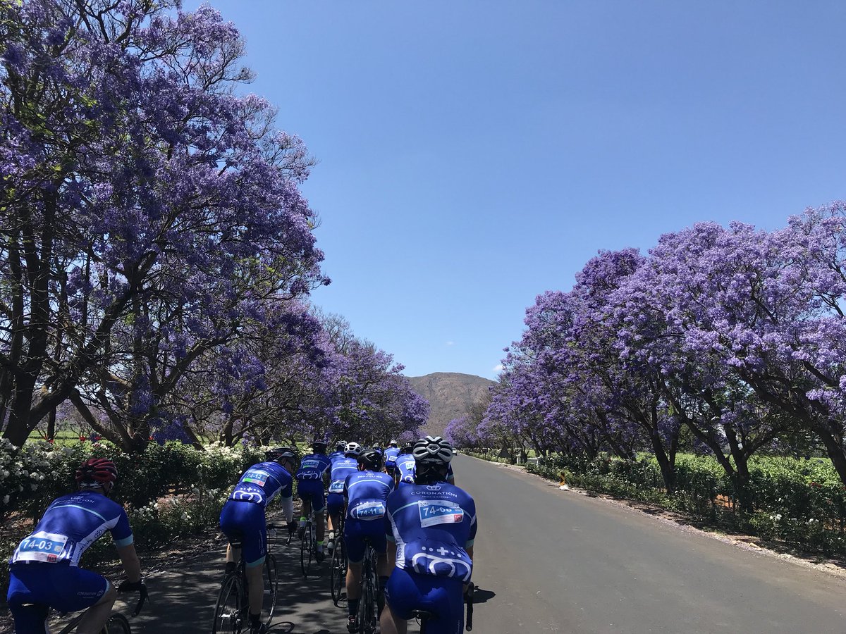 BaileyQuest_'s tweet photo. A sea of blues #coronationDC #coronationdoublecentury2018 #jacaranda https://t.co/ta9vKEuMcx