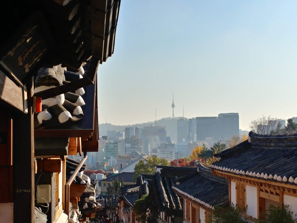 lCleer🥑 tweet media