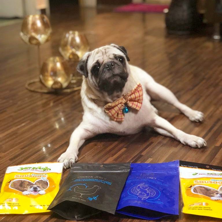OhMyPugness's tweet photo. I end up having a good time whenever mom dad invite their friends over! 
PS. - I am not spoiled, I am just well loved! 🐶😊
#pawsome #treats #snacks #yummy #party #friends #yay #dogs #DogsofTwittter #pugs #pugsofinstagram #puglife #spoiled https://t.co/NtsNMKZ9n0