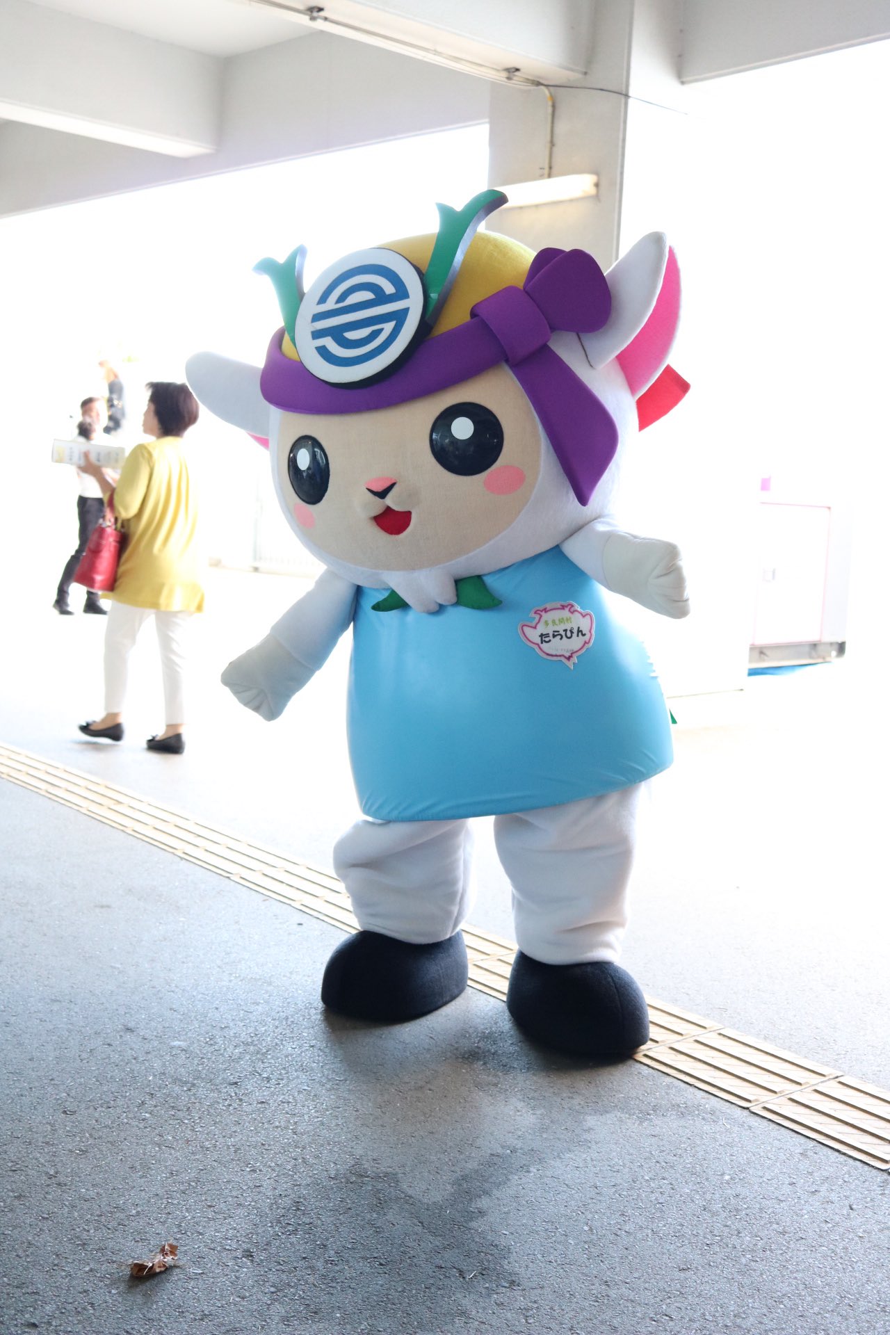安いアウトレット モール 多良間村イメージキャラクター たらぴん グッズａセット ゆるキャラ ご当地キャラ 南国 グッズセット 多良間 沖縄 宮古島 地域限定 離島 商品情報 Mdtradio Com