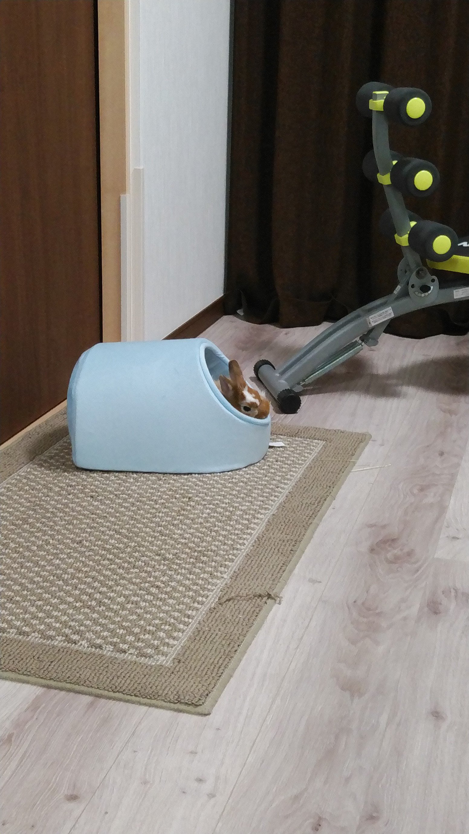 警部補 碓氷弘一 Twitter Search Twitter