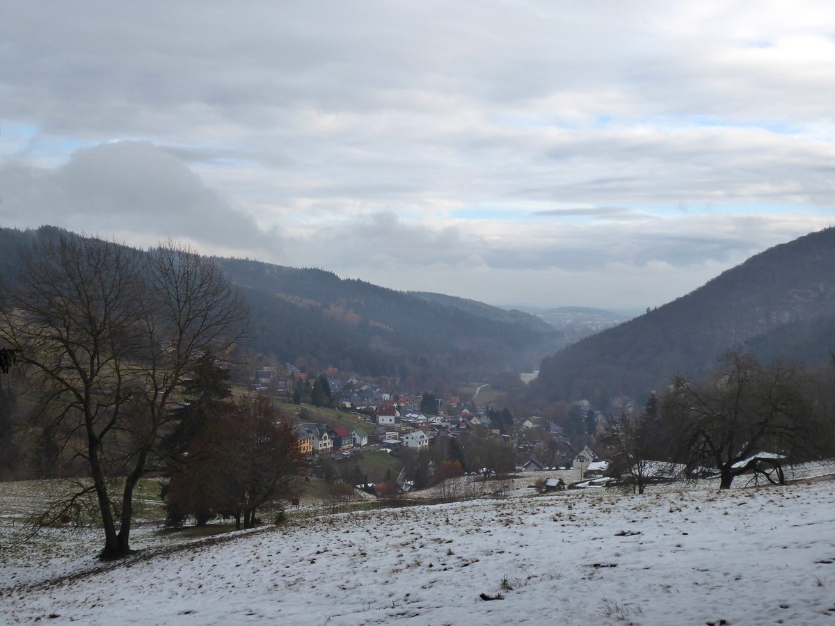 _ORMUZ_'s tweet photo. Nebelwald am #Rennsteig
Echowiese
#Manebach
#Emmastein am #Goethewanderweg https://t.co/YKUslyakrQ