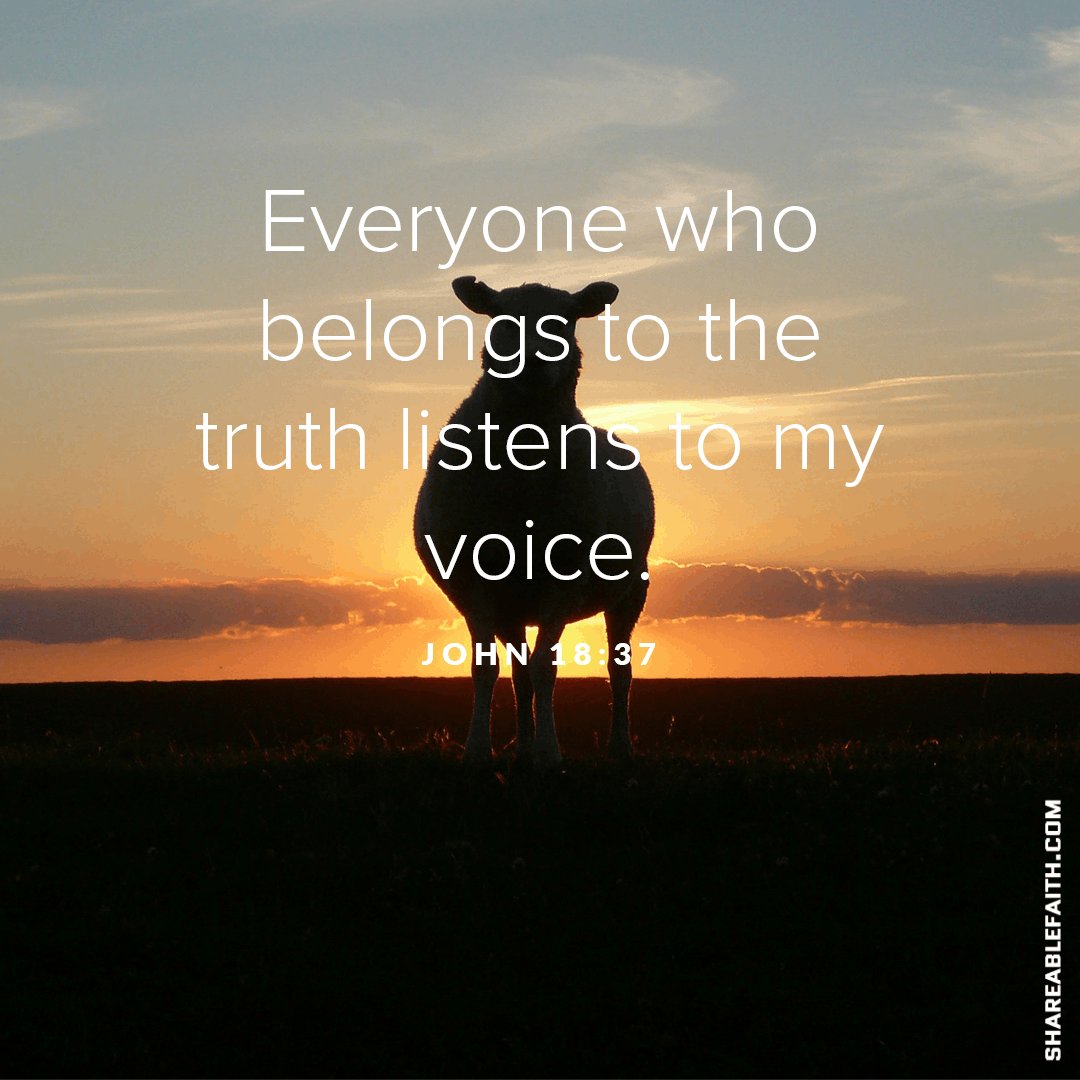 StGerardChurch's tweet photo. The voice of God is out there, sometimes it is quieter than all the other noises in our lives. #7SecondSermon #StG https://t.co/54X3MWBAuG