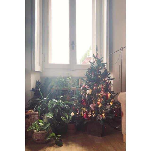 Perche Il Natale Quando Arriva Arriva Il Collezionista