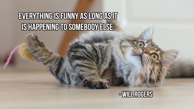 annemariayritys's tweet photo. Everything is funny as long as it is happening to somebody else. - Will Rogers #quote https://t.co/N2FGjzgzoO