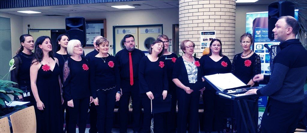 incontext_4's tweet photo. Looking for an evening activity this week? Join us at #TallaghtHospital on Tues at 6.30pm for the performance of a new modern-day work song, 'The Hospital Worker's Song'. https://t.co/qg6oYhZ2dm https://t.co/6tnupvVC86