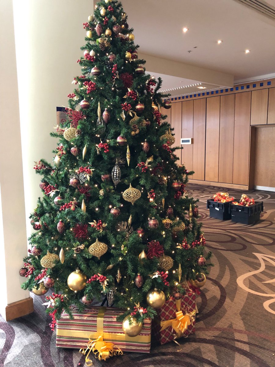 dandyevents's tweet photo. Another tree installed ⁦@HiltonNewca⁩ great work girl s https://t.co/bn2gLctl9V