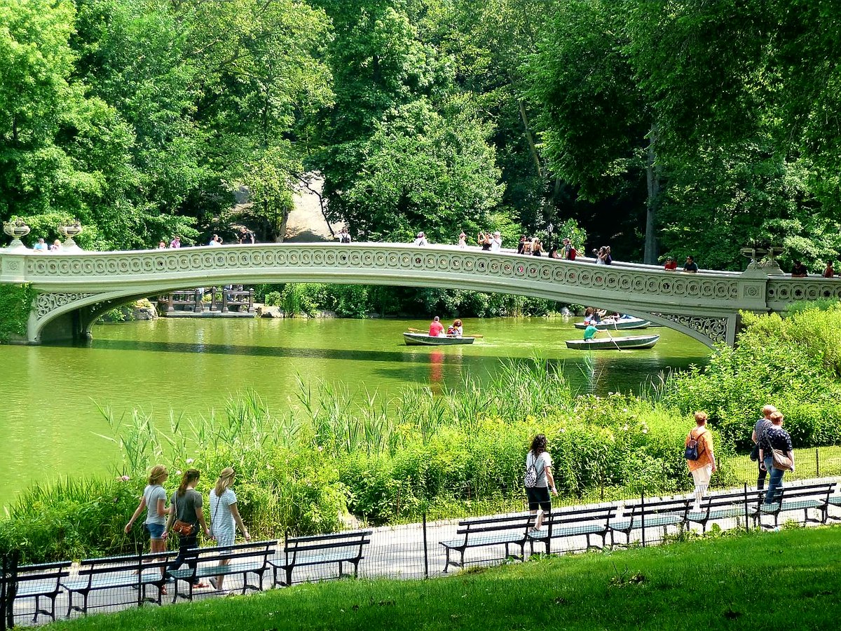 JanetteHall's tweet photo. Bow Bridge in Central Park
#bowbridge #bridge #centralpark #centralparknyc #newyorkcity #newyork #nyc #ny #nycs #newyorknewyork #newyorkstateofmind #newyorklife #nyobsession @nycfeelings @NYCDailyPics @I_LOVE_NY @CentralParkNYC #ThePhotoHour #america #bigapple #USA @NYC https://t.co/oPSg9d8cDQ