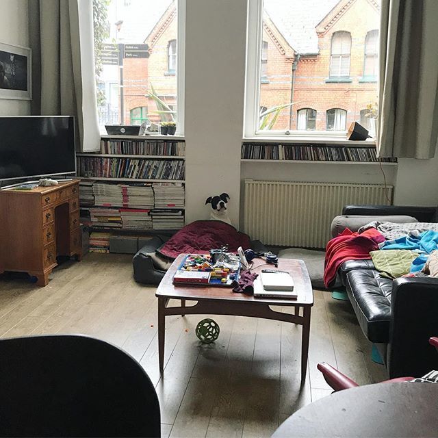 wagglepets's tweet photo. Wheres Apollo?! 😁 #funnymemes #funnydog #cutedog #staffie #collie #funnydogstuff #eastlondondog #colliesofinstagram #staffielove https://t.co/wkXUYsdFzx