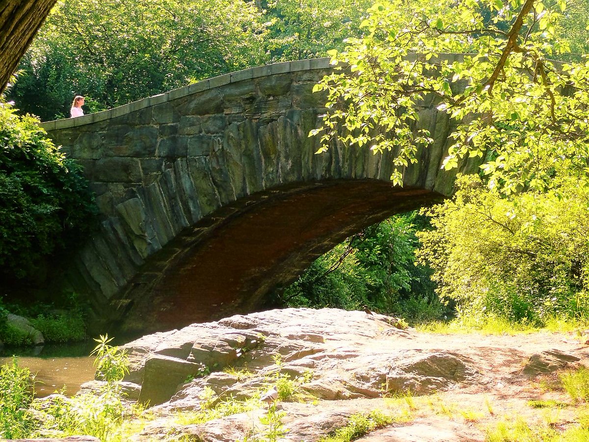 JanetteHall's tweet photo. Gapstow Bridge, Central Park
#gapstowbridge #centralpark #centralparknyc #newyorkcity #newyork #nyc #ny #newyorknewyork #newyorkstateofmind #newyorklife #nyobsession @nycfeelings @NYCDailyPics @CentralParkNYC @I_LOVE_NY @NYC #america #bigapple #ThePhotoHour @NBCNewYork @FoxNews https://t.co/fgSpiyy4Ek