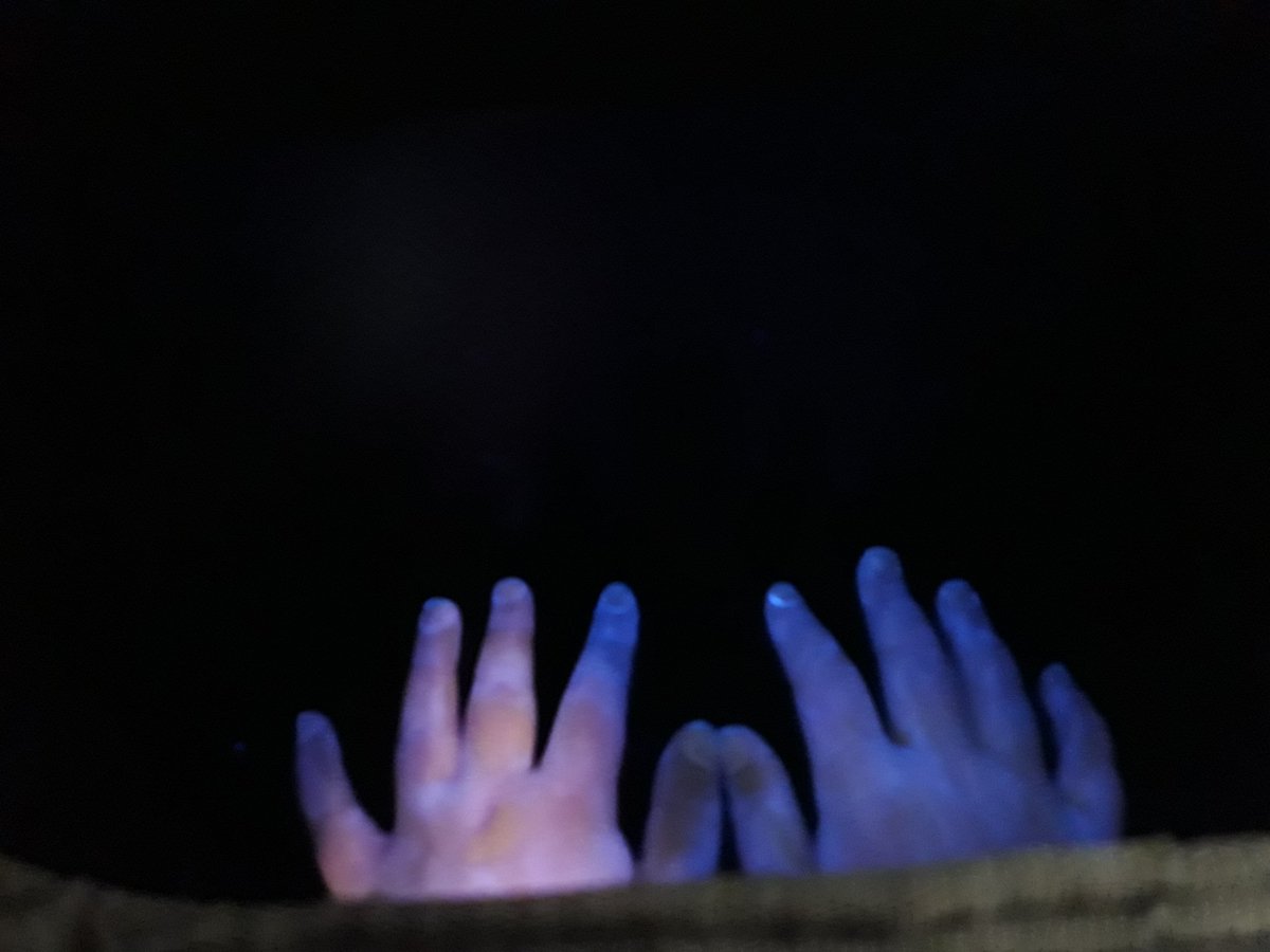 finnkaren13's tweet image. Wash and Glow! Come and visit our stand to learn the importance of proper hand washing in a fun and interactive way! #microbiology #gmit #galwayscience #believeinscience