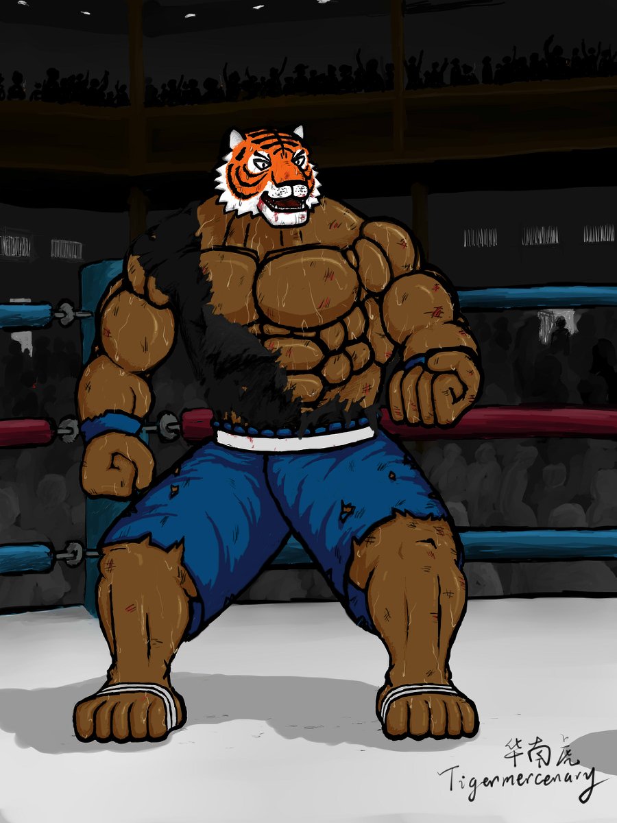 Tigermercenary's tweet photo. Underground fight! #筋肉 #kemono #muscle #虎 #tiger https://t.co/2PbWHMuk7q https://t.co/l8oIYCRCMB