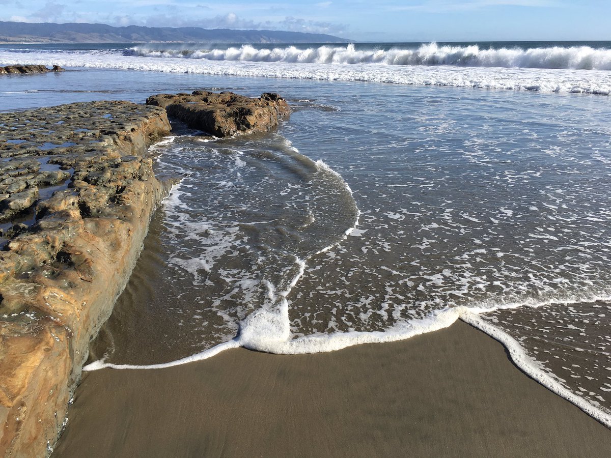 parkbasedlearn's tweet photo. Pirates, Plovers, And Protection. @PointReyesNPS is full of opportunities to learn about all sorts of subjects! #edchat #FindYourPark #scichat #sschat  Learn more about how to use a Parks resource to teach at https://t.co/E1ABA1Vgl2 https://t.co/JPWktHzhSN