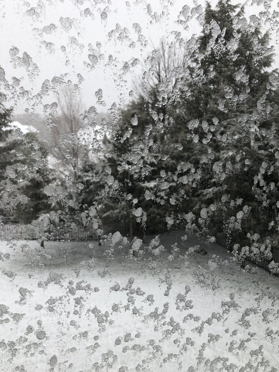 AngelaCervantes's tweet photo. Snow angels, anyone? #SundayFunday #Kansassnow https://t.co/56hqzL6uml