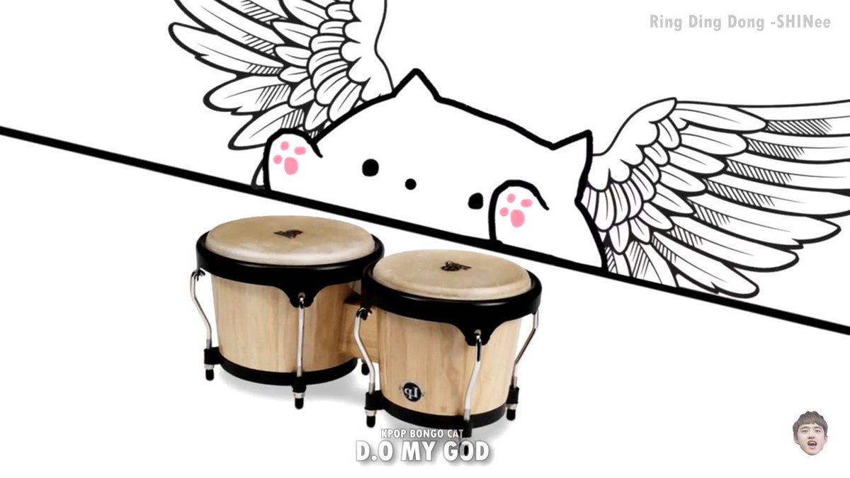 Bongo Cat 5 - bongo cat 5 bongo drums roblox Bongo Cat 5 - bongo drums roblox
