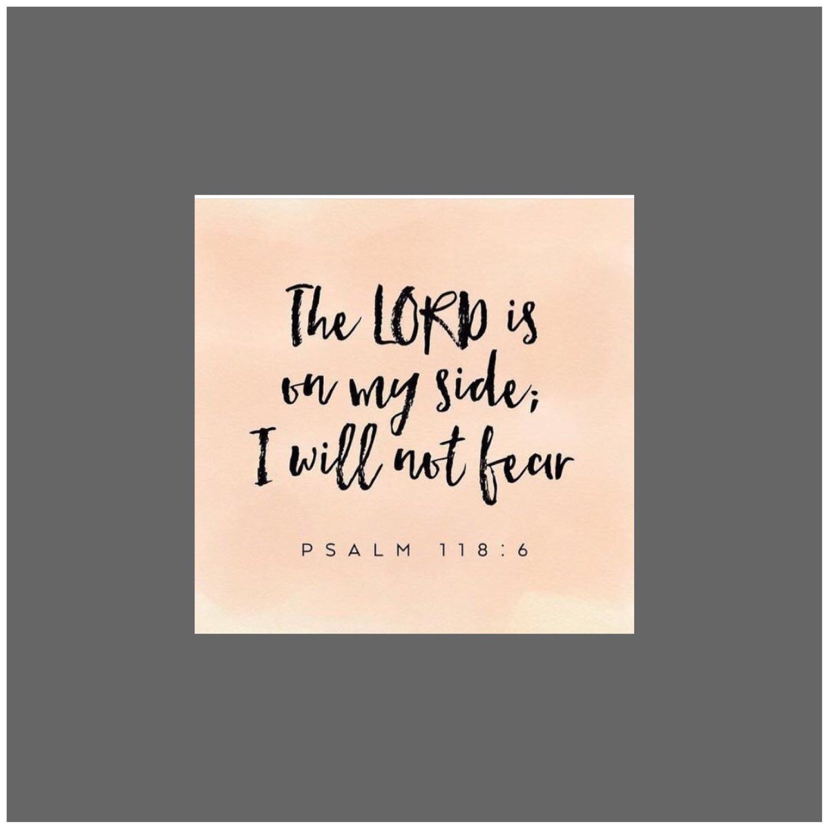 Kingdom Guide tweet media