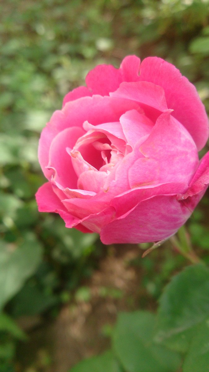 １１月２６日💚月曜日
上尾市現在気温５度

おはようございます
寒い朝です
昨日昼寝をして
夜寝られないかな
と思っていましたが
よく寝られて
まだ眠くアクビの連発

今週もよろしくお願いします
今日は仕事です
いってきます

【昔の写真から】