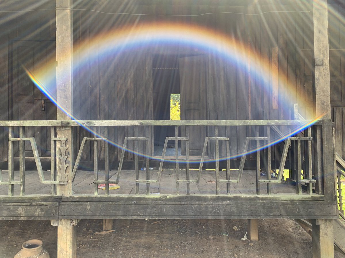 🌞)🥨(🌛 tweet media