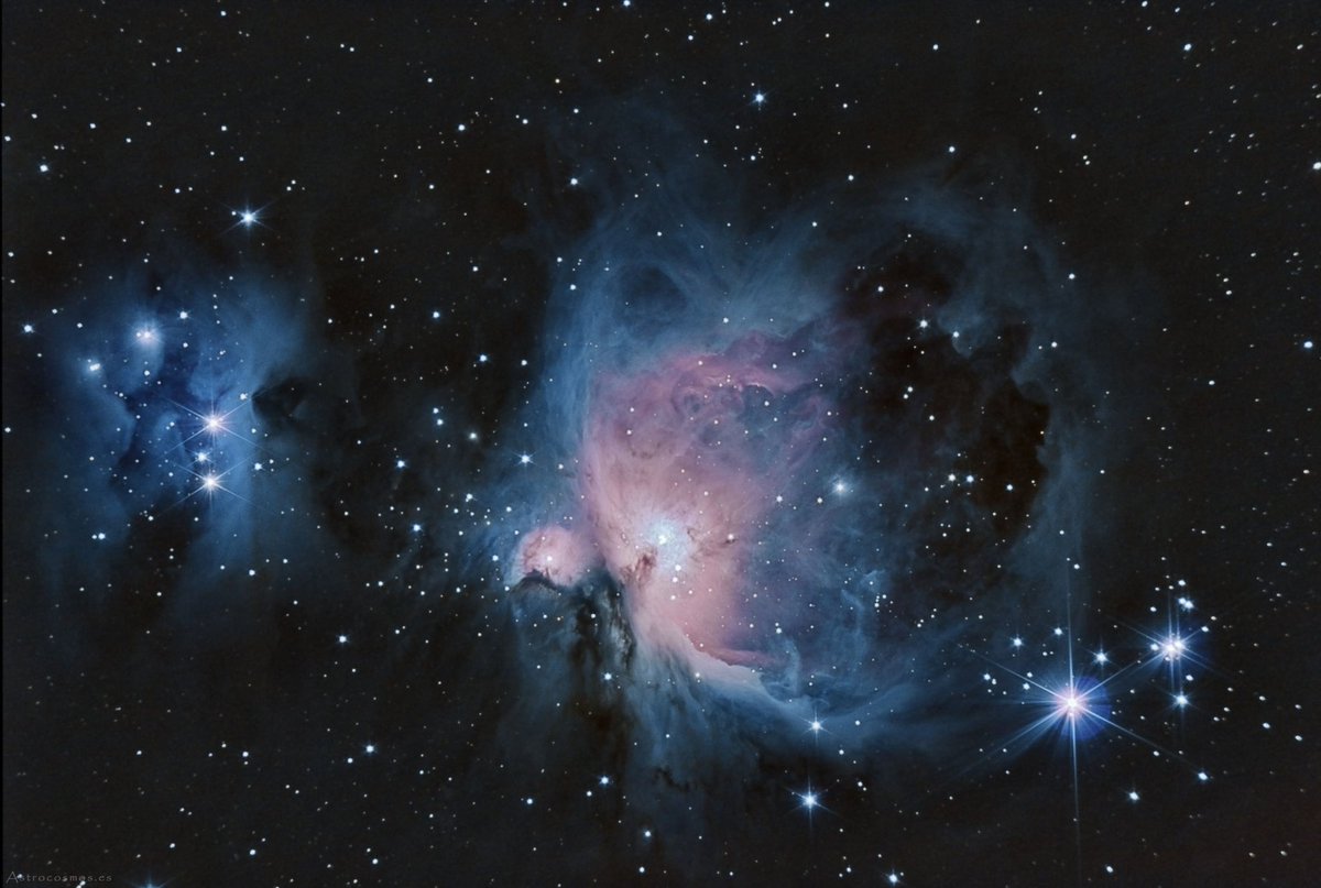 🌞)🥨(🌛 tweet media