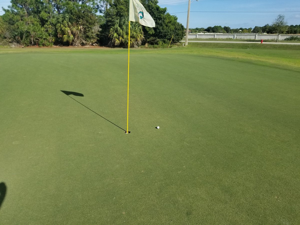 dlynch772's tweet photo. Tap in Birdie! #SundayFunday https://t.co/3nThAvKTcG