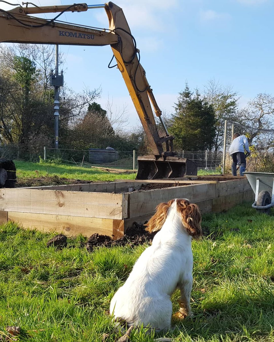 Mead_Farm_Foods's tweet photo. Combined effort on creating raised veg beds? No, someone needs to be supervising ๐ #familytime #Viewsfromthefarm https://t.co/POqUKHvzBB