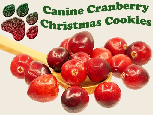 naturalpetscare's tweet image. Healthy holiday dog treat recipe! 

🍪Try It: allnaturalpetcare.com/blog/2013/12/0…

#dogtreats #dogfood #HolidayBaking
