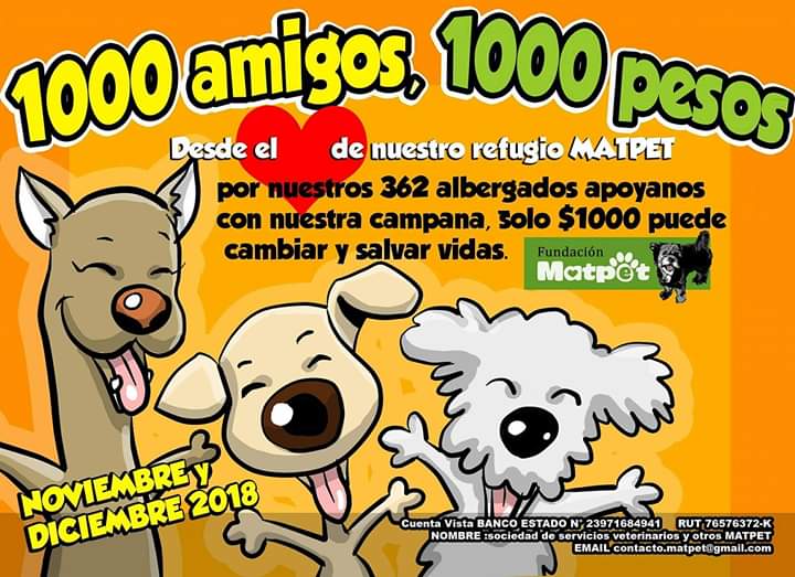 Fundación Matpet tweet media