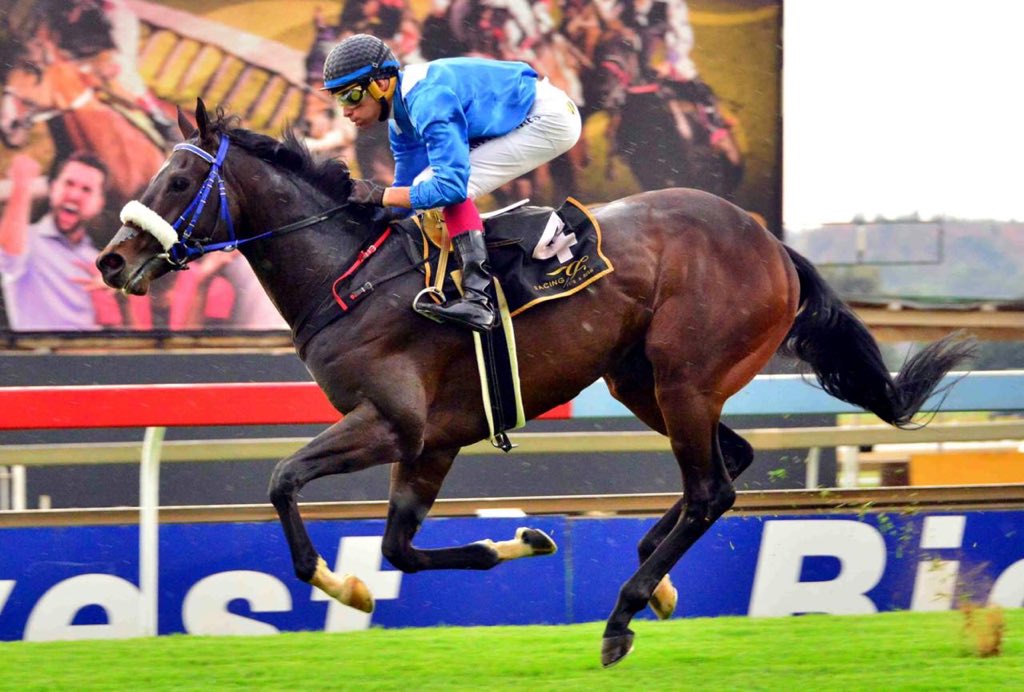 Durban july runners and betting calculator bitcoin price usd news