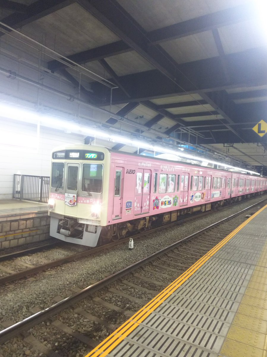 Twitter पर しゃもじ 明日のブログも トイレなしの車両とします ピンクの京王線ラッピング電車は サンリオのほか 動物園線 のキッズパークたまどうのラッピング電車 7000系の7801f も挙げられています 京王動物園線 京王7000系 7801f キッズパークたまどう