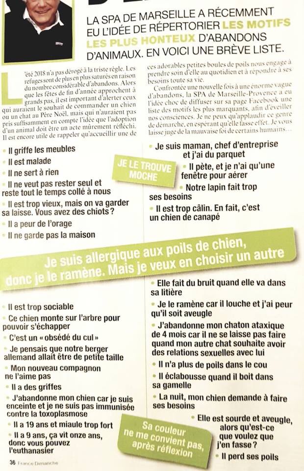 PETA_France's tweet photo. La SPA de Marseille a répertorié les pires motifs d’abandon qu’ils entendent au quotidien... honteux. https://t.co/jqv4I3DO9Y