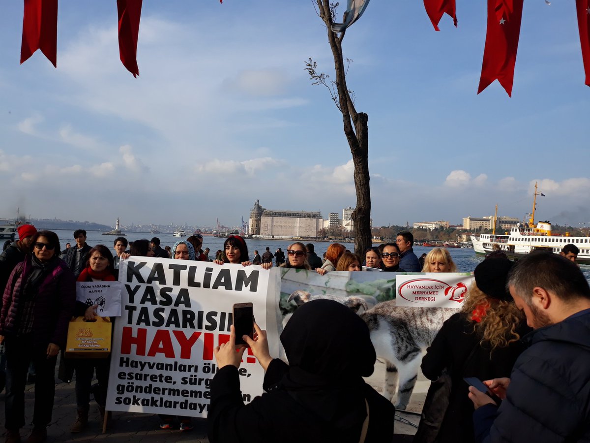 Tubiweet's tweet photo. Bugün oradaydık, elimizden geldiğince sessiz canların sesi olmak için
 #KatliamYasasınaDurDe https://t.co/RUdGIIwRmF