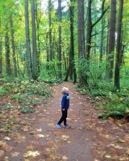 SharonAnnRose's tweet photo. From Wounded-ness to Wholeness - Transforming the Masculine and Feminine Story - https://t.co/9vWBH9l5TT https://t.co/oUsnTHfLtP