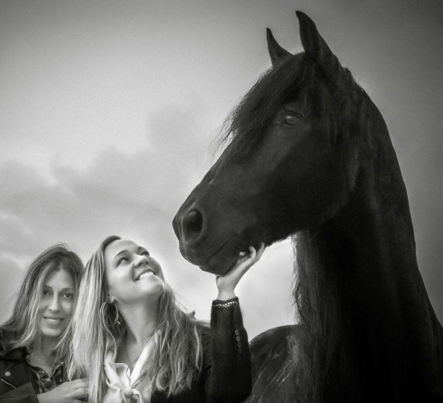luisabalada's tweet photo. Photosluisabalada 
#Photography #fotografia #luisabalada #Horses https://t.co/xhMnd9R1AK