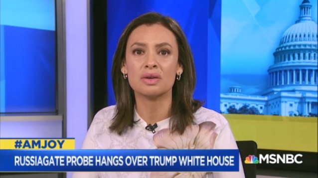 msnowevents's tweet photo. .@MariaTeresa1: If you listen carefully to all these individuals that are under investigation... they all use the same words. They all use entrapment, hoax, they say the FBI is corrupt. #AMJoy https://t.co/LPICVdJqba