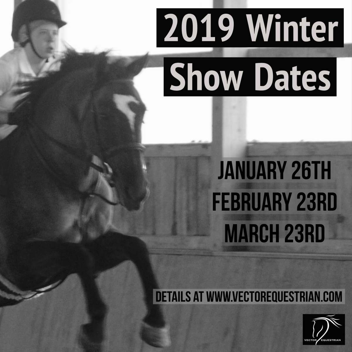Vector Equestrian tweet media
