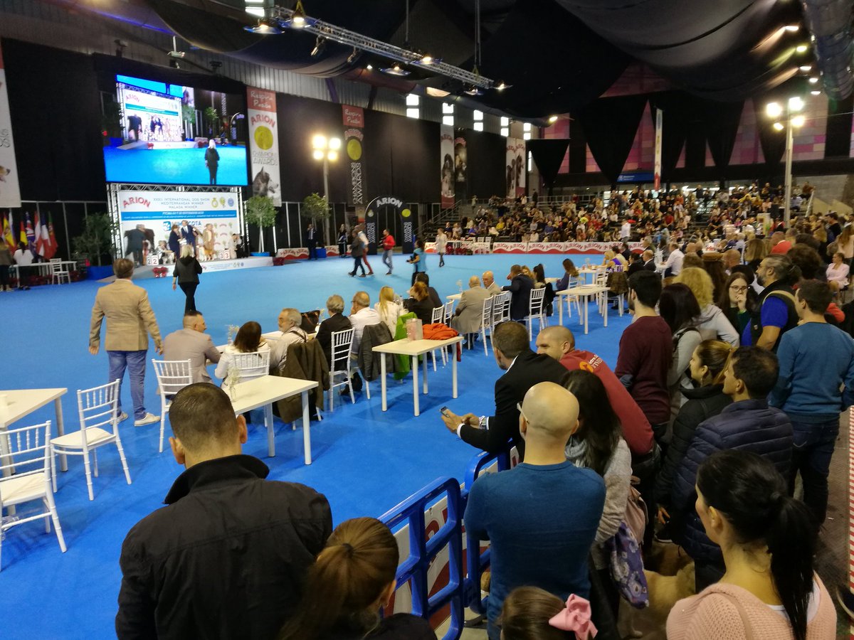 Muchísimo ambiente en el Ring de Honor de #MiMascotaMLG, donde los asistentes están disfrutando con las grandes finales de la Exposición Internacional Canina y Exposición Nacional Canina organizadas por @Arion_ES y <a href="/PrensaSCCS/">Prensa SCCS</a>.