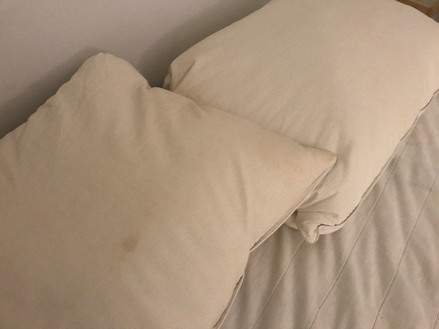 josephinetam123's tweet photo. Is this how Airbnb treats their customers? This is beyond unacceptable customer service. Not only is this the worse form of customer service I experienced, I felt unfairly treated. #StopAirbnb #AirbnbSafety #AirbnbMisrepresented #CustomerFirst #CustomerExperience #CustomerService https://t.co/otVICxtAIY