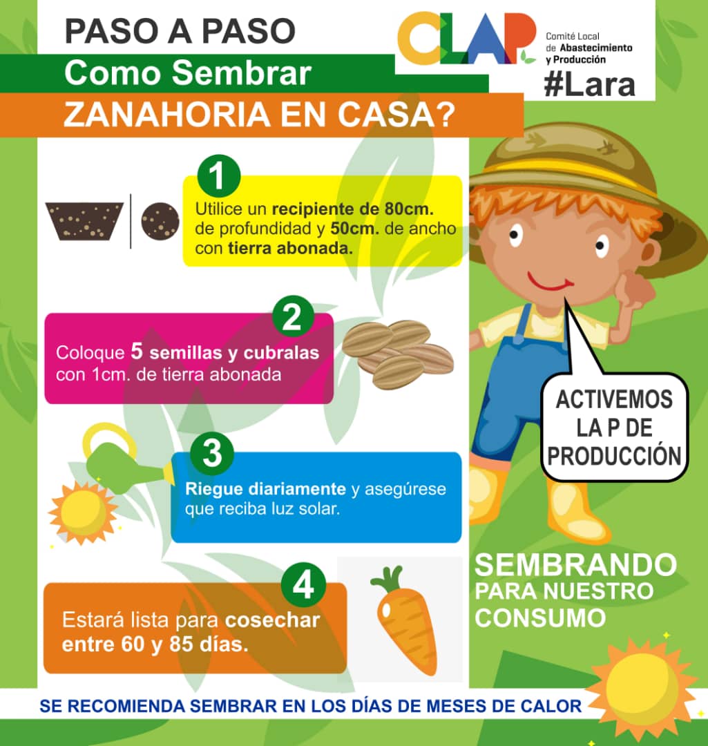 CClapAnzOficial's tweet photo. #SoyComunicadorClapAnzoátegui somos la voz de la comunidad, del sector, del punto y circulo para llevar la noticia y vociferar lo que acontece alrededor del mismo 
Hoy #25Nov les traemos tips para sembrar zanahoria en casa 
#LasMujeresQueremosPaz #TodoSeTransforma #AquíCrecemos https://t.co/6h3Le1qstY