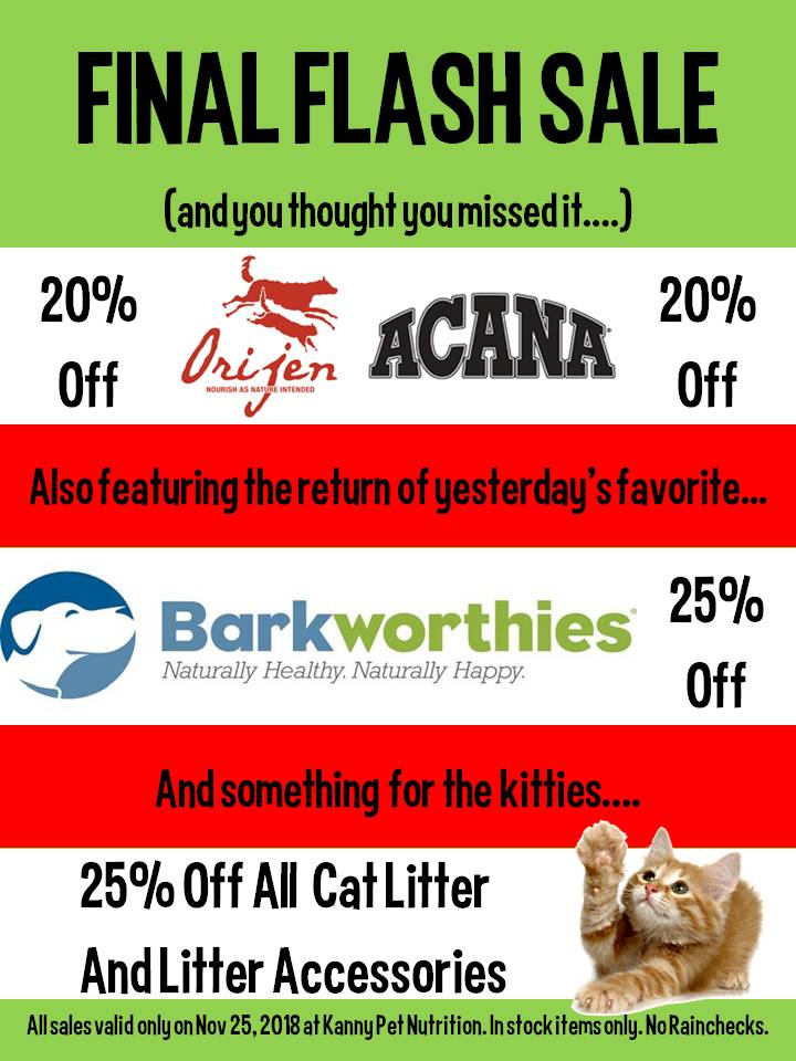 different small dog breeds