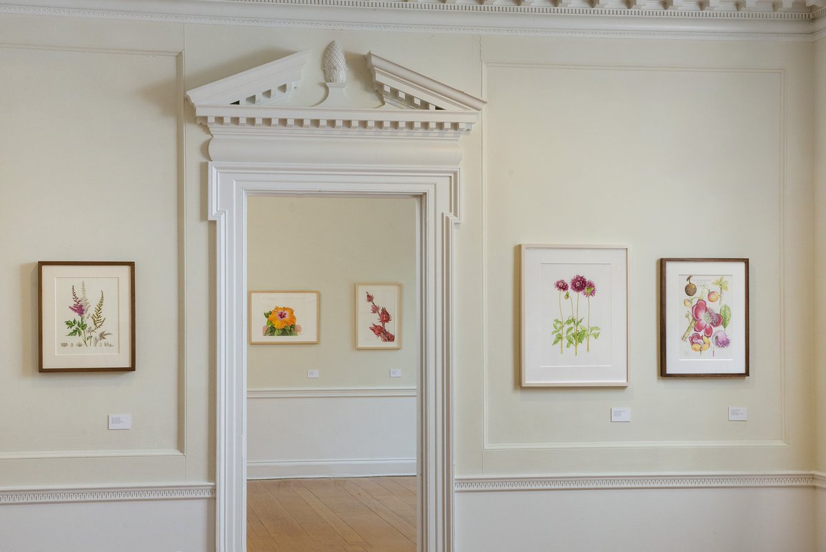 WaveHill's tweet photo. Don't miss the precise renderings of exotic &amp; native flowers, fruits, roots &amp; trees in the "21st Annual Botanical." It closes Dec 2! Original, framed artworks are available for sale—a great holiday gift for art lovers! https://t.co/YnSbBBvu30
#FallatWaveHill
Photos: Stefan Hagen https://t.co/hAgEE9Qqus