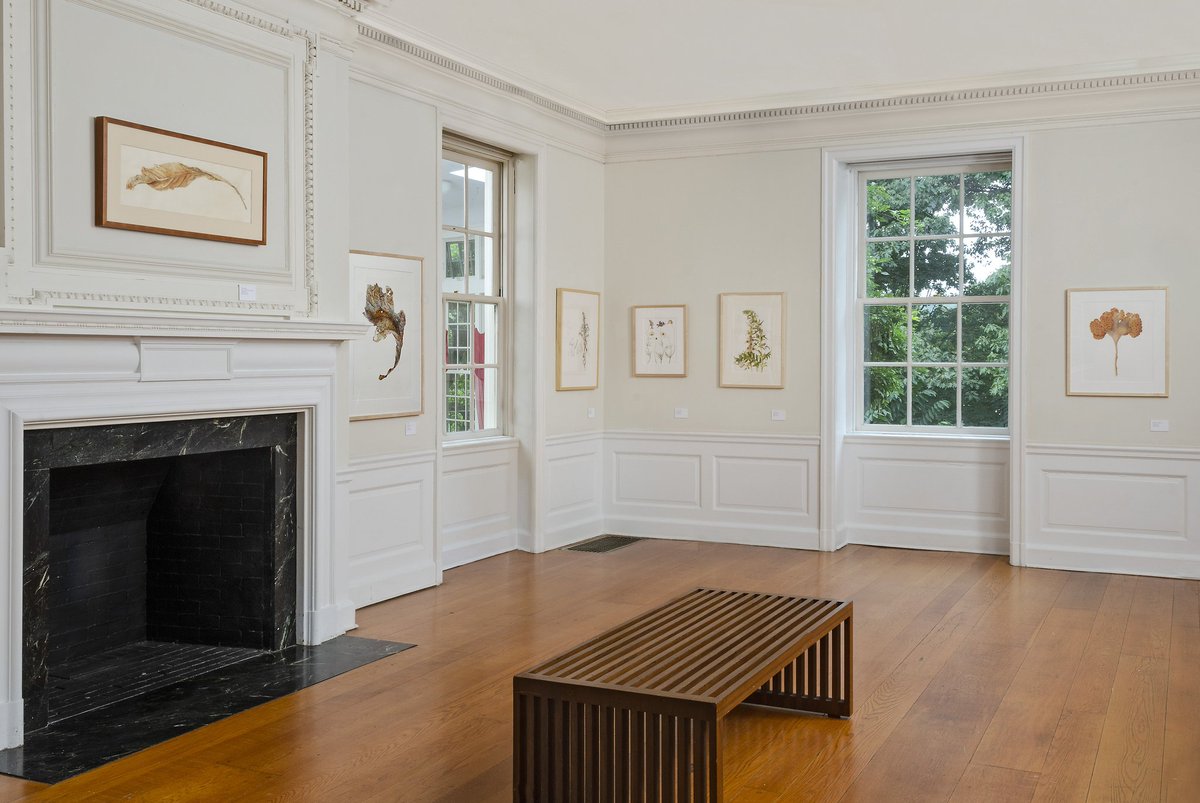 WaveHill's tweet photo. Don't miss the precise renderings of exotic &amp; native flowers, fruits, roots &amp; trees in the "21st Annual Botanical." It closes Dec 2! Original, framed artworks are available for sale—a great holiday gift for art lovers! https://t.co/YnSbBBvu30
#FallatWaveHill
Photos: Stefan Hagen https://t.co/hAgEE9Qqus