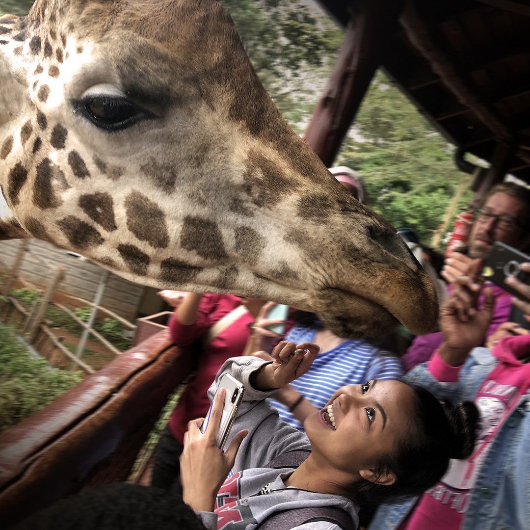 AFSUSA's tweet image. 📣Calling all changemakers📣: The deadline to submit to AFS: Project Change is ⌛️TODAY at 11:59 PM EST⌛️! Follow the link to submit your project proposal! 

bit.ly/2BooeOe

✈️🌎❤️✌

#afsusa #afseffect #afsprojectchange #passpeaceforward