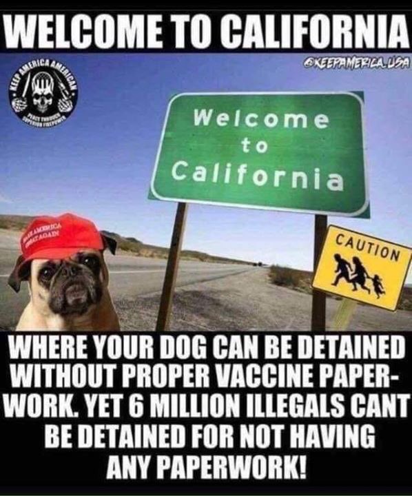 Lisalu2872's tweet photo. #StopTheInvasion #NotMigrants #MAGA #AmericaFirst 🇺🇸🇺🇸🇺🇸 https://t.co/mH0KMrTrBp