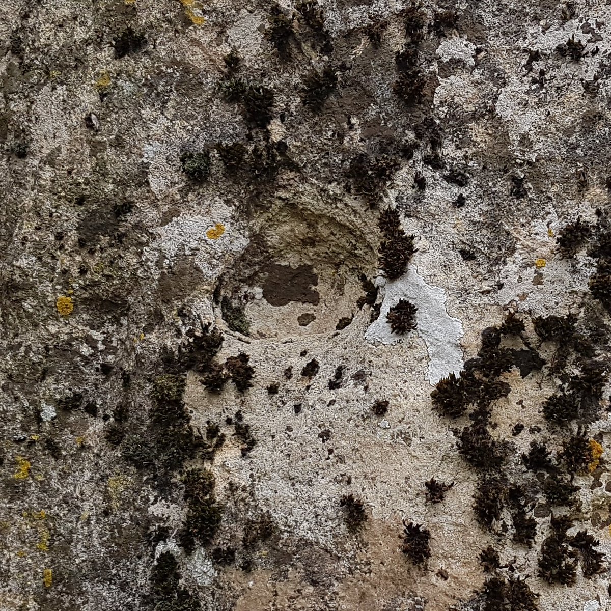 KimIannucci's tweet photo. #lugburylongbarrow #neolithic  possible #cupmark on the one upright but happy to be corrected https://t.co/6cepLVJKhW